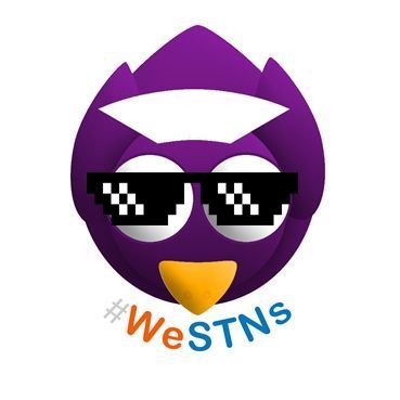 We Student Nurses logo